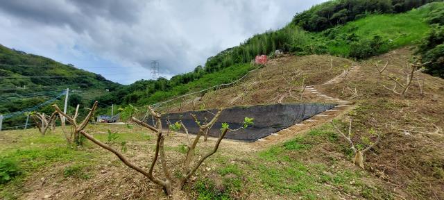 東勢農地-5