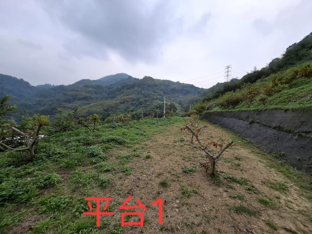 東勢農地-8