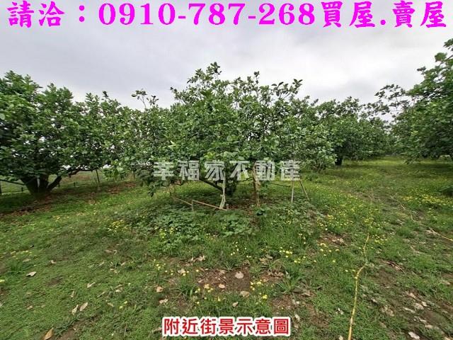下營農地-12