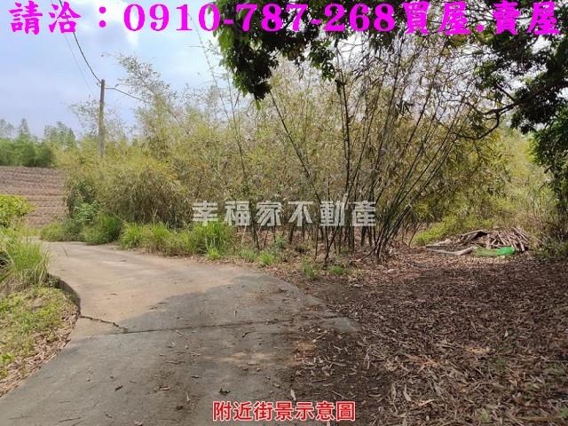 關廟農地-9