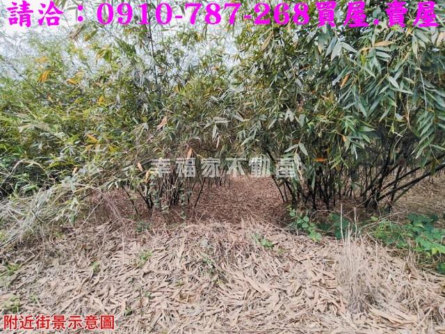 關廟農地-7