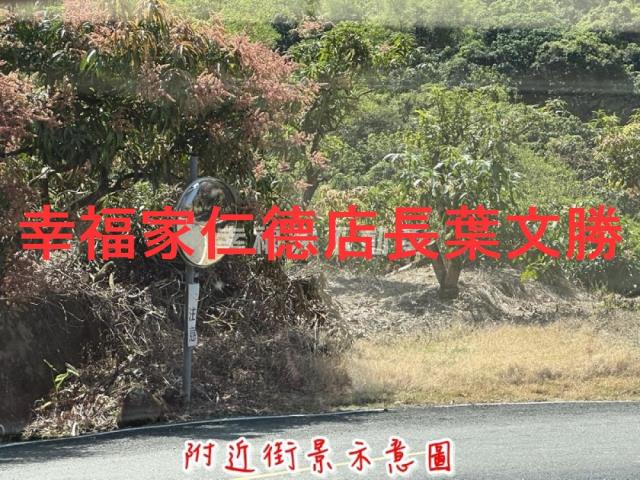 台南農地-9