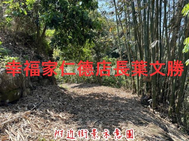 台南農地-11
