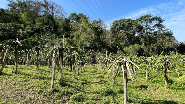 新竹峨眉農地-9