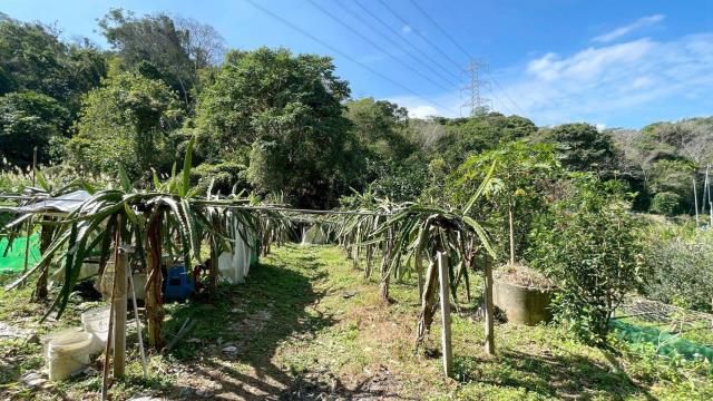 新竹峨眉農地-13