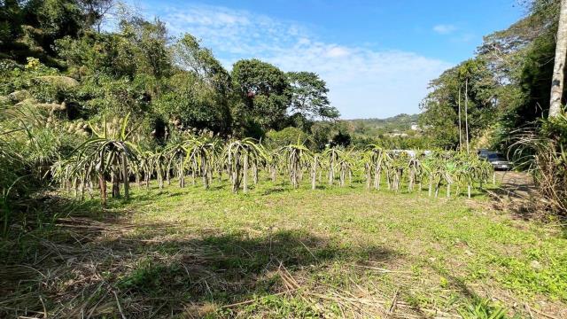 新竹峨眉農地-0