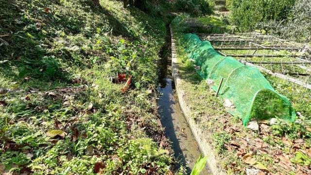 新竹峨眉農地-4