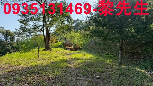 新竹北埔農地-3