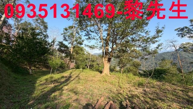 新竹北埔農地-4