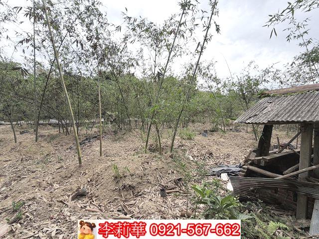 台南新化農地-9