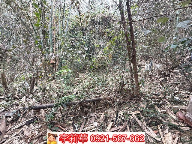 台南新化農地-11