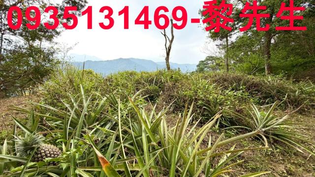 新竹北埔農地-12