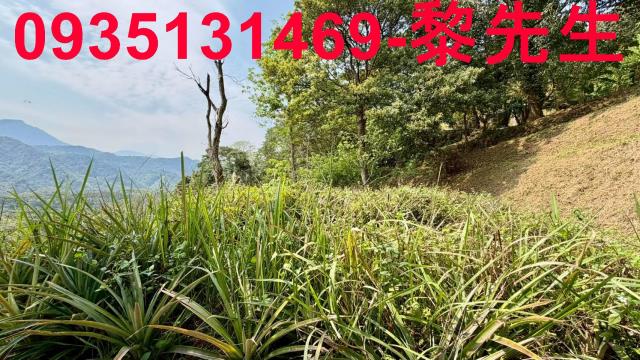 新竹北埔農地-1