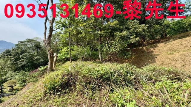 新竹北埔農地-3