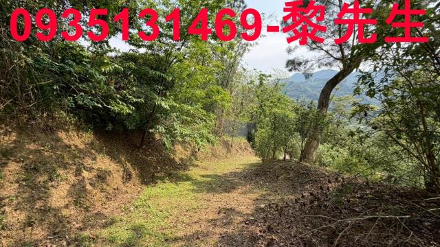 新竹北埔農地-8