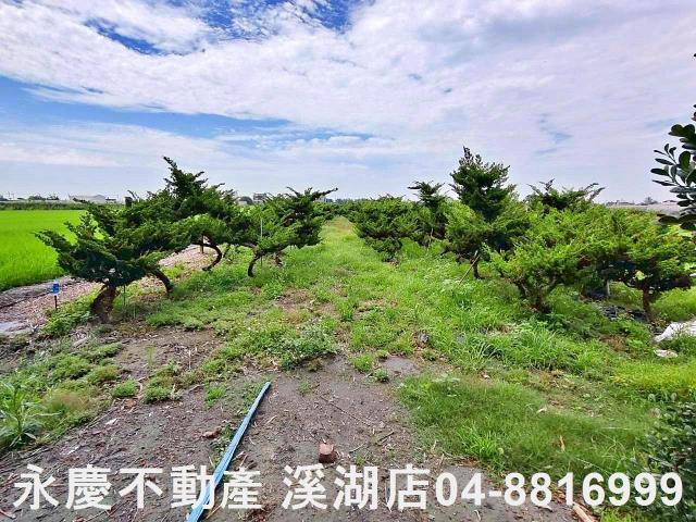 二林農地-12