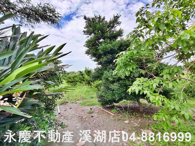 二林農地-2