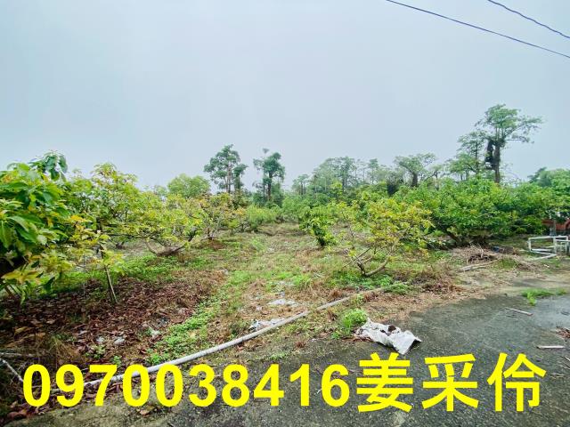 嘉義中埔農地-4