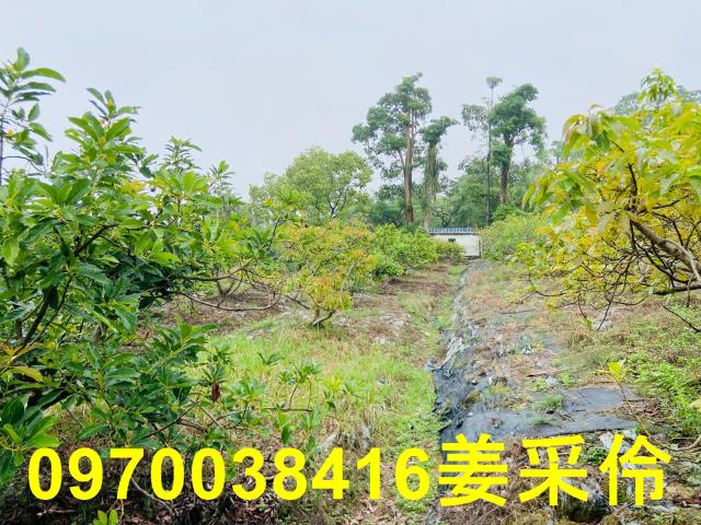 嘉義中埔農地-7