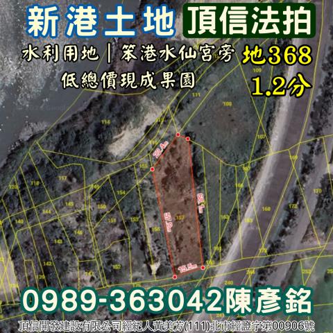 嘉義新港農地法拍-3