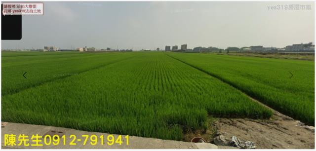 法拍嘉義溪口29分優質農地近美林國小