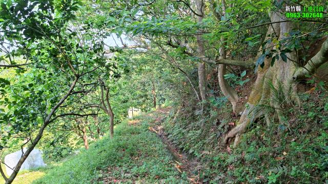 新竹峨眉農地-13