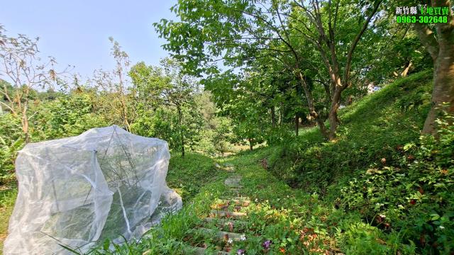 新竹峨眉農地-7