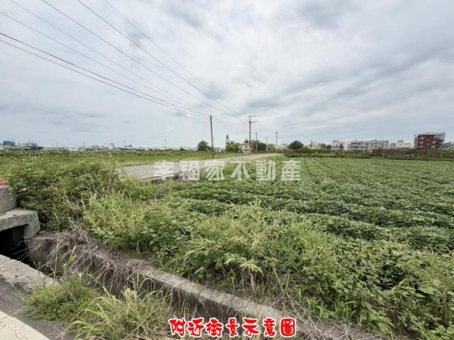 新化農地-12