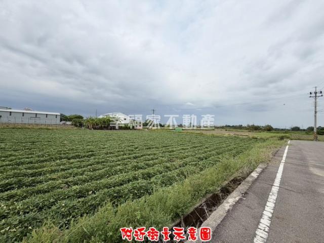新化農地-3