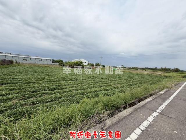 新化農地-5