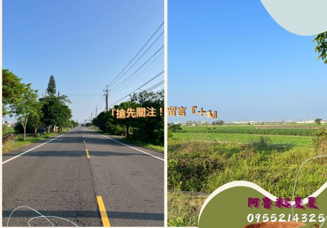 太保農地-4