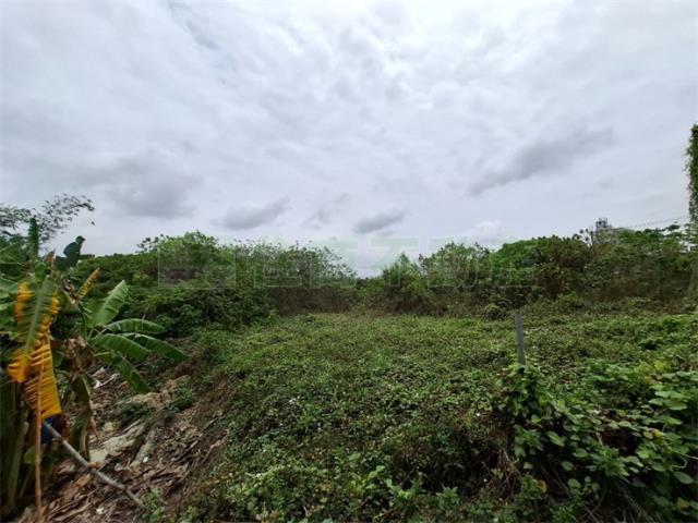 高雄農地-2