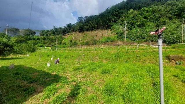 台中東勢農地-8