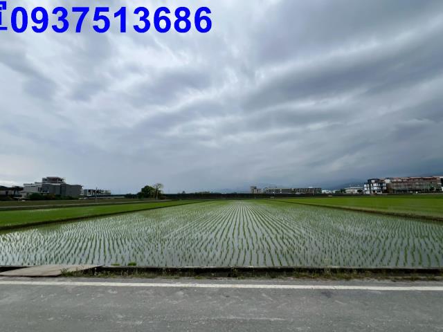 宜蘭宜蘭市農地-3