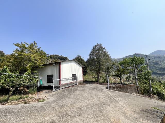 台中市東勢區東坑路特農區