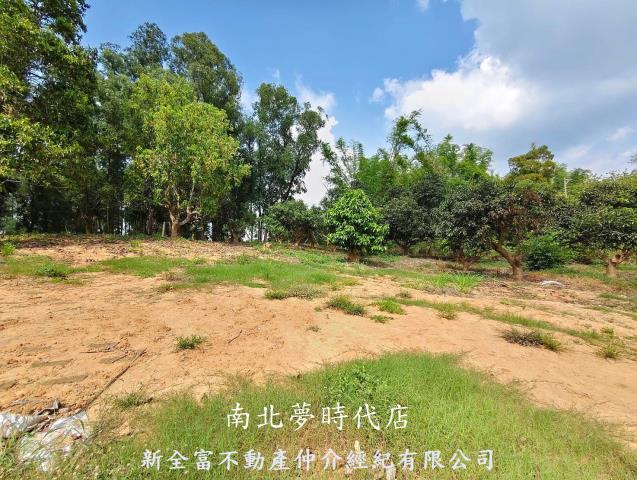 台南農地-10