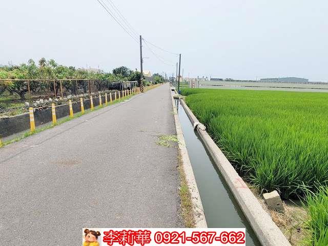 林園農地-1