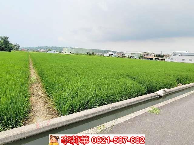 林園農地-6