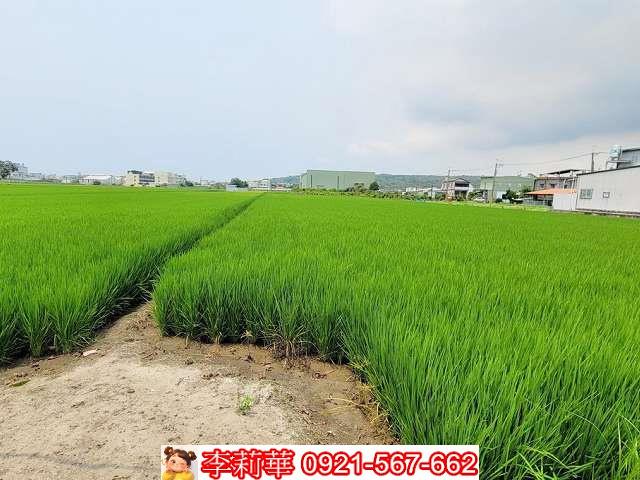林園農地-7