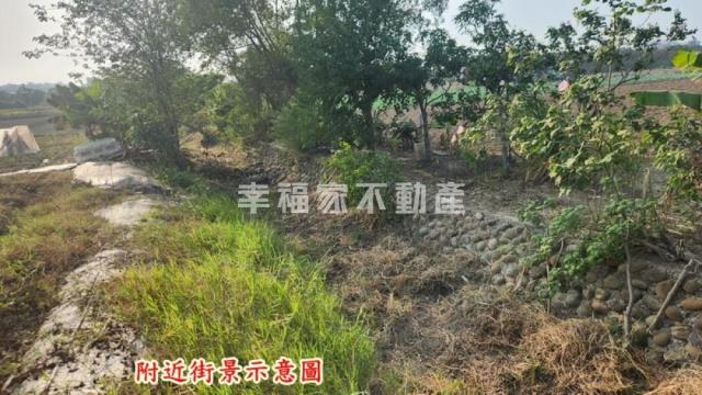 善化農地-9