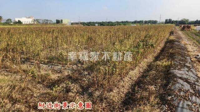 善化農地-3