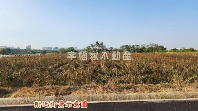 善化農地-4