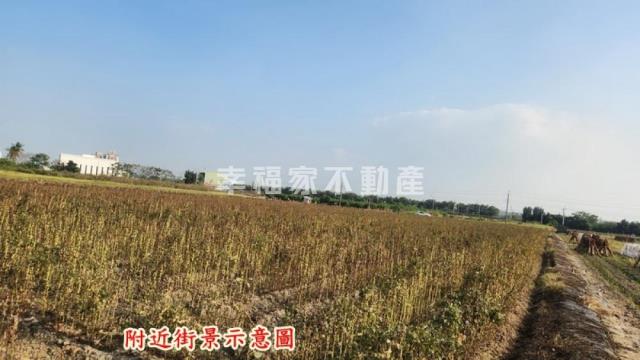善化農地-5