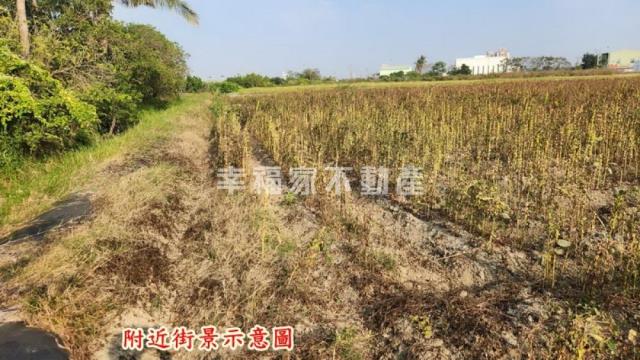 善化農地-6