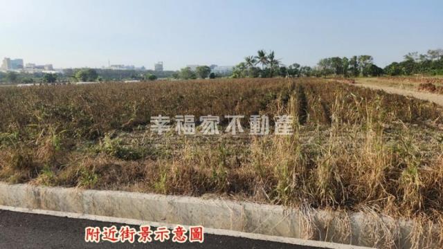 善化農地-7