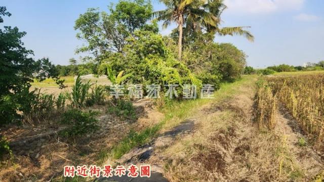 善化農地-8