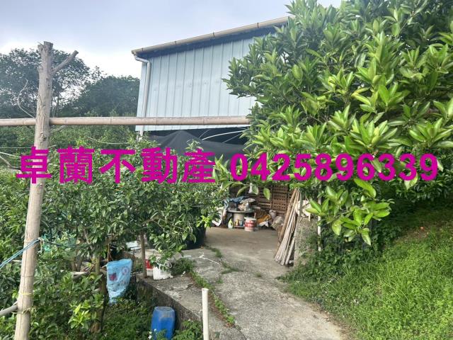 卓蘭農地-0