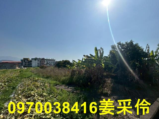 中埔農地-11