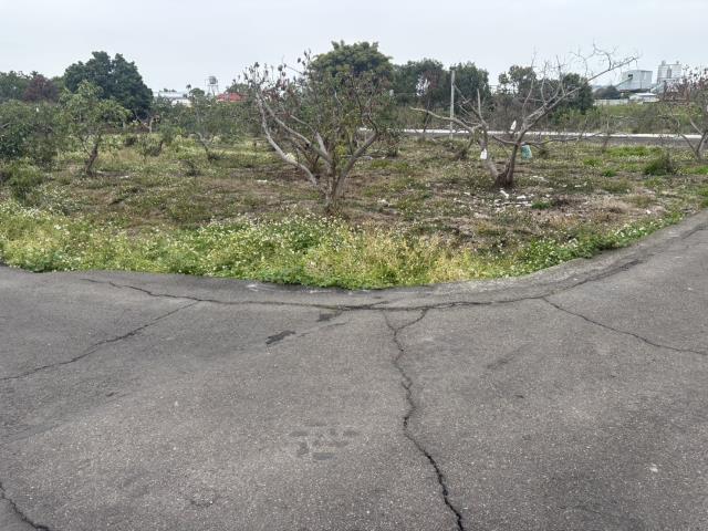 東勢農地-1