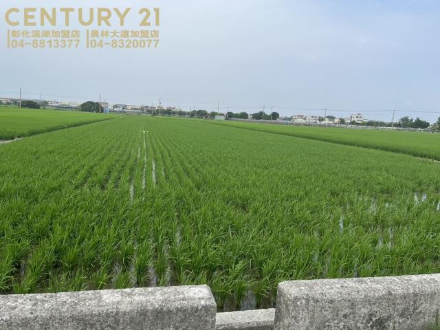 彰化農地-6